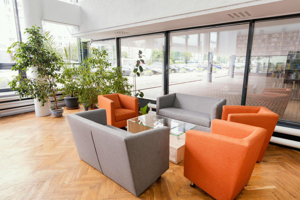 https://soarkinship.kinshipgarden.com.ng/wp-content/uploads/2026/04/2148899443.jpg